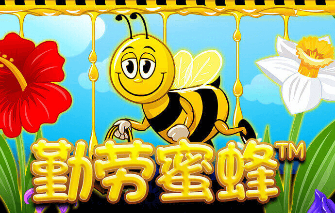 88体育APP安装APP下载